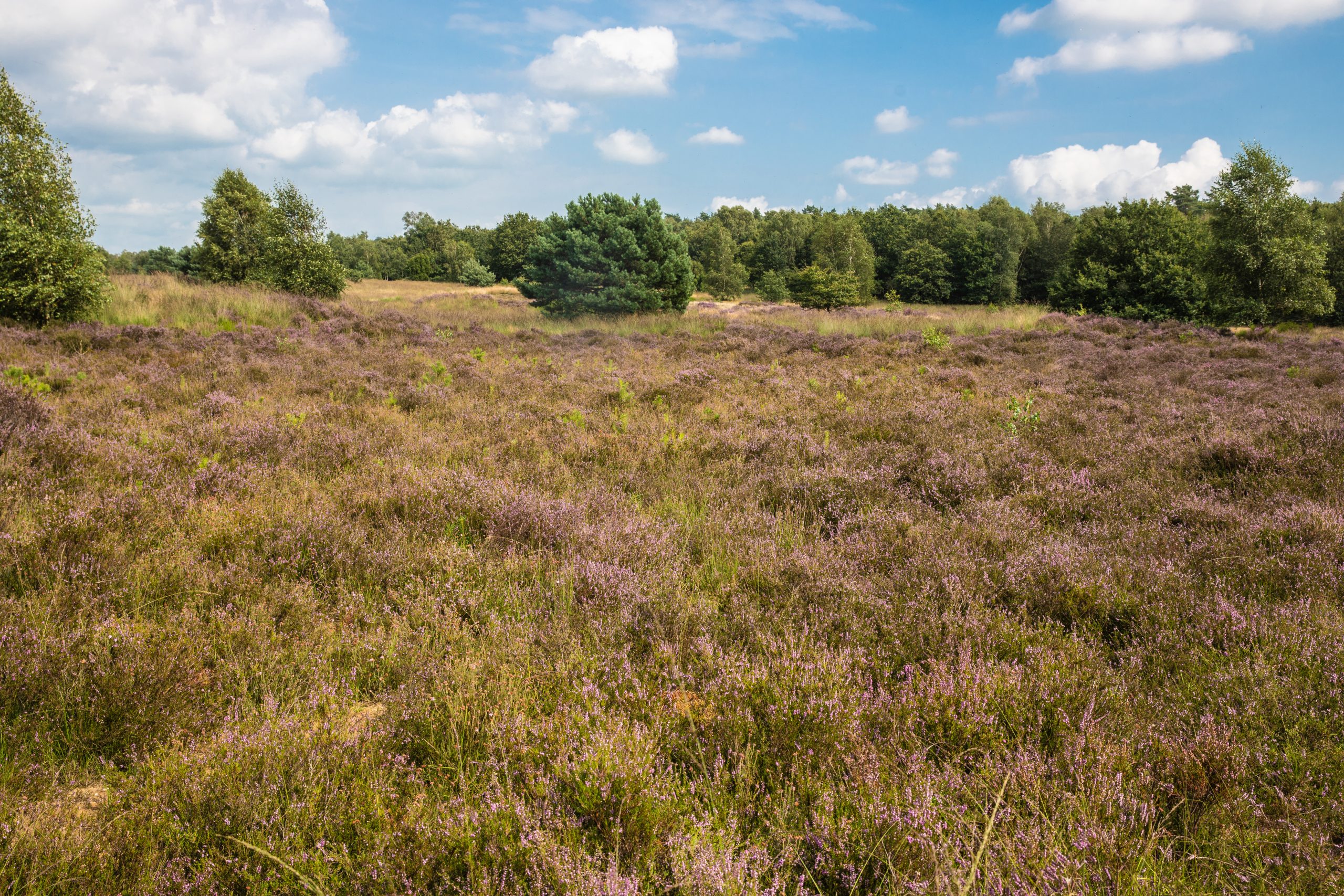 RSR Noord-Veluwe